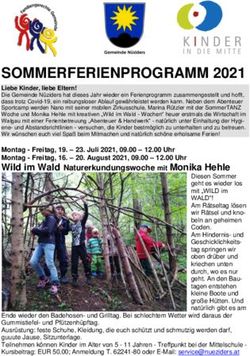 SOMMERFERIENPROGRAMM 2021 - Gemeinde Nüziders