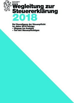 2018 Wegleitung zur Steuererklärung - Bei Beendigung der Steuerpflicht im Jahre 2018 infolge: Wegzug ins Ausland - Tod des Steuerpflichtigen ...