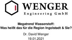 Megatrend Wasserstoff: Was hei&szlig;t das f&uuml;r die Region Ingolstadt & Sie? - Dr. David Wenger 19.01.2021 - Mission Hydrogen ...