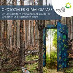 &Ouml;KOSOZIALER KLIMAKOMPASS - Ein Leitfaden f&uuml;r Klimawandelanpassung im l&auml;ndlichen und st&auml;dtischen Raum - &Ouml;kosoziales Forum