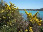 Sardinien Ein Hauch von Karibik im Mittelmeer 18 - 24. April 2022 - Berühmte Costa Smeralda Urtümliche Gallura Alghero - das katalanische ...