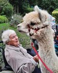 Genie&szlig;e das Leben November 2021 Haan - Senioren-Park carpe diem