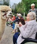 Genie&szlig;e das Leben November 2021 Haan - Senioren-Park carpe diem