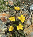 MITTEILUNGEN - Aufl&ouml;sung des Summit Club - DAV Dresden