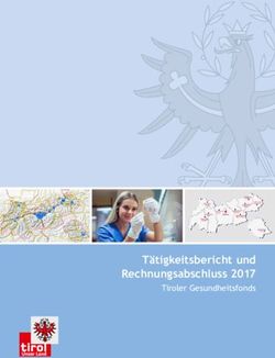 Tätigkeitsbericht und Rechnungsabschluss 2017 - Tiroler Gesundheitsfonds - Land Tirol