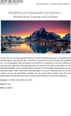 Nordlicht und Polarnacht am Eismeer - Winterreise Troms&oslash; und Lofoten - ZEIT Reisen