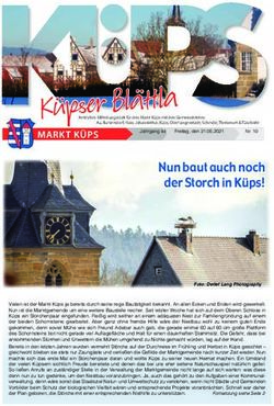 Nun baut auch noch der Storch in K&uuml;ps!