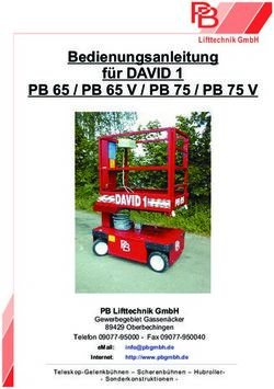 Bedienungsanleitung f&uuml;r DAVID