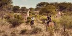 JAGDERLEBNIS AFRIKA KAMBAKU WILDLIFE RESERVE | NAMIBIA - JAGDSAFARI - Kambaku Safari Lodge
