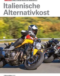 Italienische Alternativkost - VERGLEICH APRILIA SHIVER 900/DUCATI MONSTER 821 - Motorradfahrer