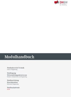 Modulhandbuch Studienbereich Technik Studiengang Wirtschaftsingenieurwesen - DHBW