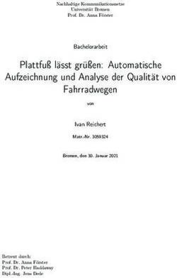 Plattfuß lässt grüßen: Automatische Aufzeichnung und Analyse der Qualität von Fahrradwegen