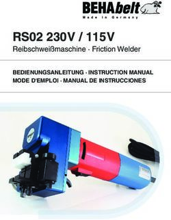 RS02 230 V / 115 V Reibschweißmaschine Friction Welder - BEDIENUNGSANLEITUNG INSTRUCTION MANUAL MODE D'EMPLOI MANUAL DE INSTRUCCIONES - BEHAbelt