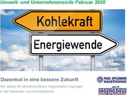 Umwelt- und Unternehmensinfo Februar 2020 - Dezentral in eine bessere Zukunft Wir stehen f&uuml;r klimafreundliche, regenerative L&ouml;sungen