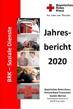 Jahres-bericht 2020 Bayerisches Rotes Kreuz Kreisverband Traunstein Soziale Dienste - BRK Traunstein