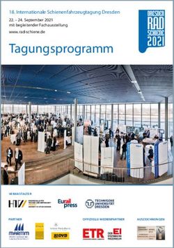 Tagungsprogramm 18. Internationale Schienenfahrzeugtagung Dresden - Eurailpress