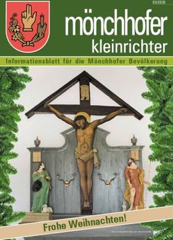 Frohe Weihnachten! - Informationsblatt für die Mönchhofer Bevölkerung 03/2020 - Gemeinde Mönchhof