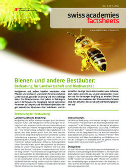 Bienen und andere Best&auml;uber