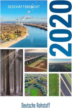 0GESCHÄFTSBERICHT - Deutsche Rohstoff AG