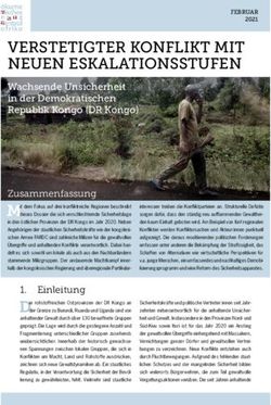 VERSTETIGTER KONFLIKT MIT NEUEN ESKALATIONSSTUFEN - Wachsende Unsicherheit in der Demokratischen Republik Kongo (DR Kongo)
