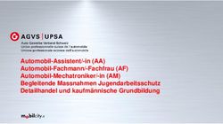 Automobil-Assistent/-in (AA) Automobil-Fachmann/-Fachfrau (AF) Automobil-Mechatroniker/-in (AM) Begleitende Massnahmen Jugendarbeitsschutz ...