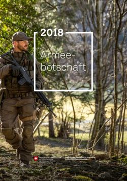 Armee botschaft 2018 - Admin.ch
