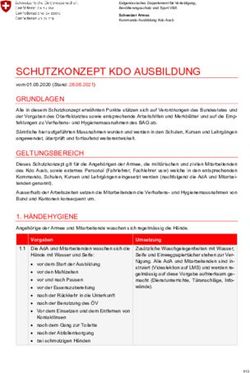 SCHUTZKONZEPT KDO AUSBILDUNG - VSMMV