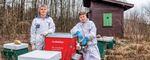 "Bienen sind das Leben" - Mobirama Das Magazin f&uuml;r die - Der Berater im - die Mobiliar