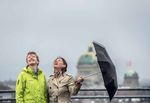 "Bienen sind das Leben" - Mobirama Das Magazin f&uuml;r die - Der Berater im - die Mobiliar