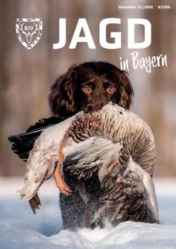 JAGD In Bayern - Bayerischer Jagdverband