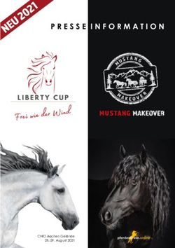 PRESSEINFORMATION 2021 - CHIO Aachen Gelände 28.-29. August 2021 - Mustang Makeover