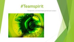 #Teamspirit F&auml;higkeiten und Potentiale gemeinsam nutzen - LIZA.Network