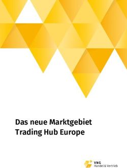 Das neue Marktgebiet Trading Hub Europe - VNG Handel ...