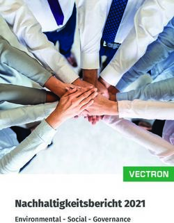 Nachhaltigkeitsbericht 2021 - Environmental - Social - Governance - Vectron Systems AG