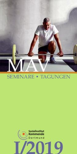 MAVSEMINARE TAGUNGEN - DIAG MAV