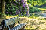 Gartenträume in Ostfriesland - Gartenreise vom 25. bis 31. Mai 2021 - Ihre Vorteile auf einen Blick: ars Mundi Traumreisen