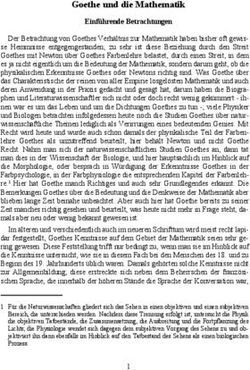 Goethe und die Mathematik