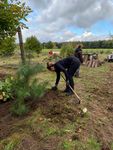 NVV - Nachrichten - Natur- und Vogelschutzverein ...