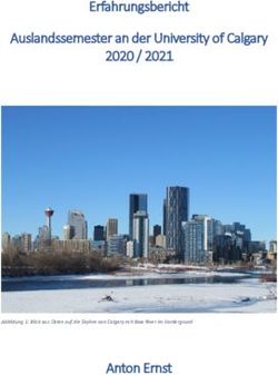 Erfahrungsbericht Auslandssemester an der University of Calgary 2020 / 2021 - Anton Ernst - Universit&auml;t Stuttgart