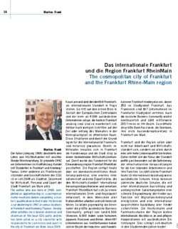 Das internationale Frankfurt und die Region Frankfurt RheinMain The cosmopolitan city of Frankfurt and the Frankfurt Rhine-Main region