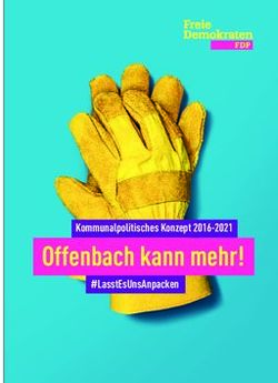 OFFENBACH KANN MEHR! KOMMUNALPOLITISCHES KONZEPT 2016-2021 #LASSTESUNSANPACKEN