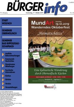 STADT WOLFACH GEMEINDE OBERWOLFACH GEMEINDE BAD RIPPOLDSAU-SCHAPBACH