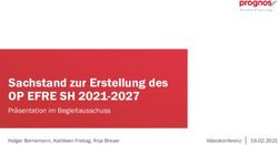Sachstand zur Erstellung des - OP EFRE SH 2021-2027 Pr&auml;sentation im Begleitausschuss