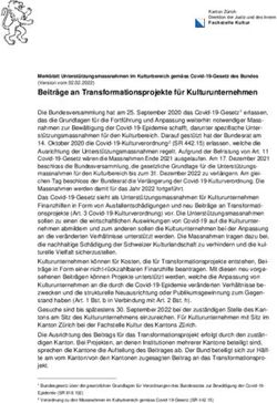 Beiträge an Transformationsprojekte für Kulturunternehmen - Kanton Zürich