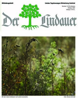 MITTEILUNGSBLATT LINDAUTAGELSWANGENWINTERBERGGRAFSTAL