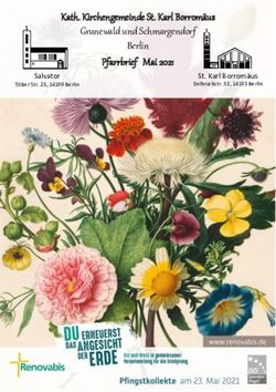 Kath. Kirchengemeinde St. Karl Borrom&auml;us Grunewald und Schmargendorf Berlin Pfarrbrief Mai 2021 - Salvator - St. Karl Borrom&auml;us