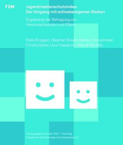 Jugendmedienschutzindex: Der Umgang mit onlinebezogenen Risiken Ergebnisse der Befragung von Heranwachsenden und Eltern - FSM