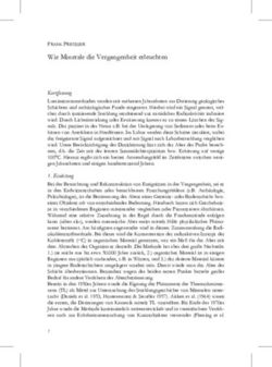 Wie Minerale die Vergangenheit erleuchten - Sedimentary ...