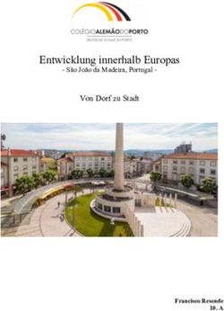 Entwicklung innerhalb Europas - Von Dorf zu Stadt - S&atilde;o Jo&atilde;o da Madeira, Portugal - Europ&auml;ischer Wettbewerb