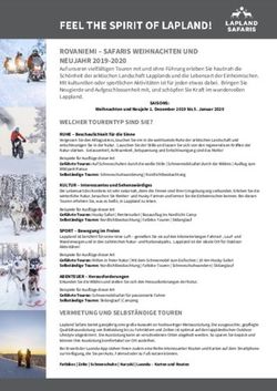 ROVANIEMI - SAFARIS WEIHNACHTEN UND NEUJAHR 2019-2020